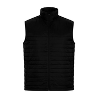 Men's Altitude Puffer Vest