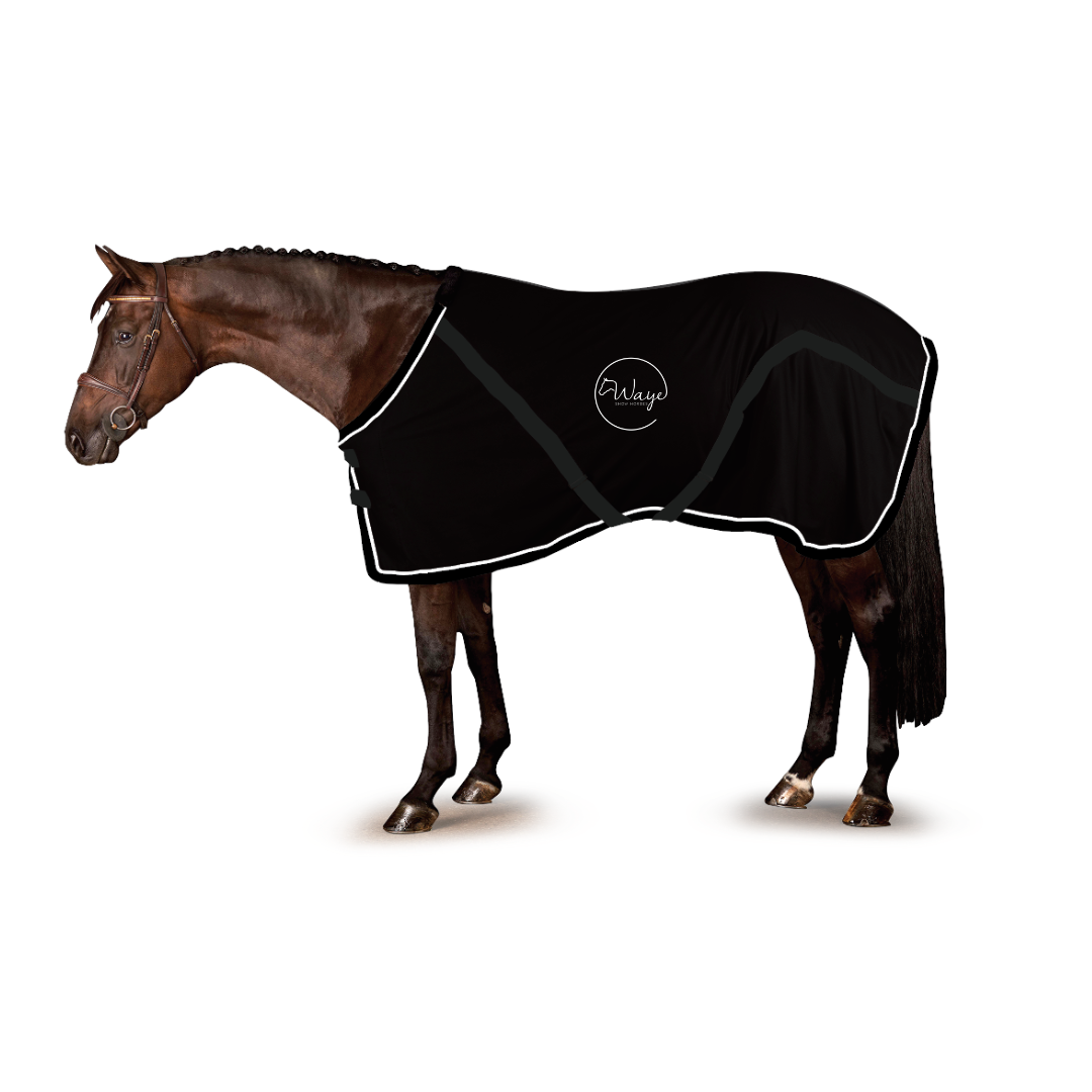 Waye Show Horses Stable Sheet