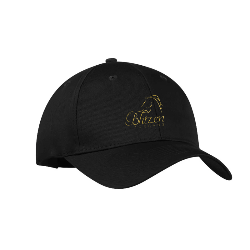 BM Ball Cap