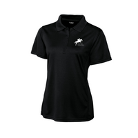 Silvercreek Riding Stables Polo