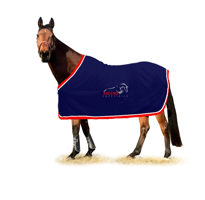 AE Fleece Blanket
